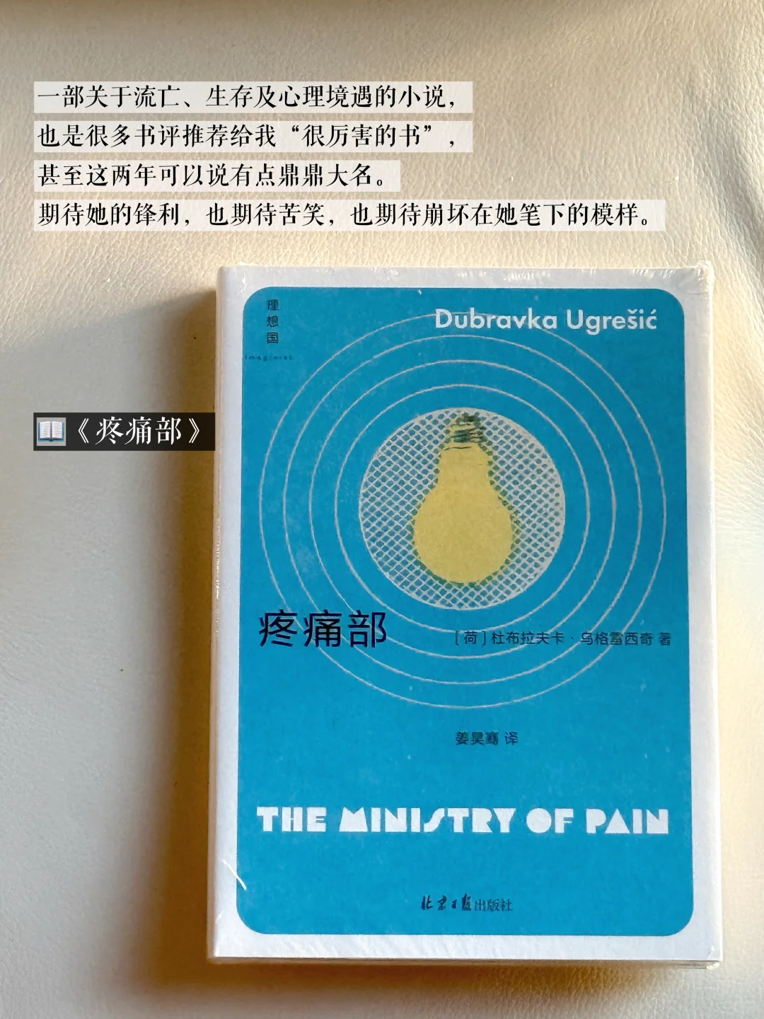 8月书单｜在现实与虚幻之间的轻量阅读 🪐