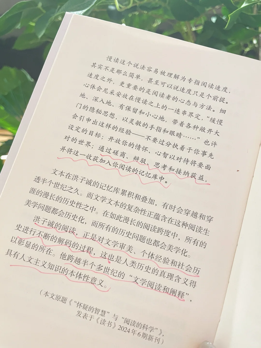 做喧嚣城市中阅读的＂慢读者＂｜文学的阅读