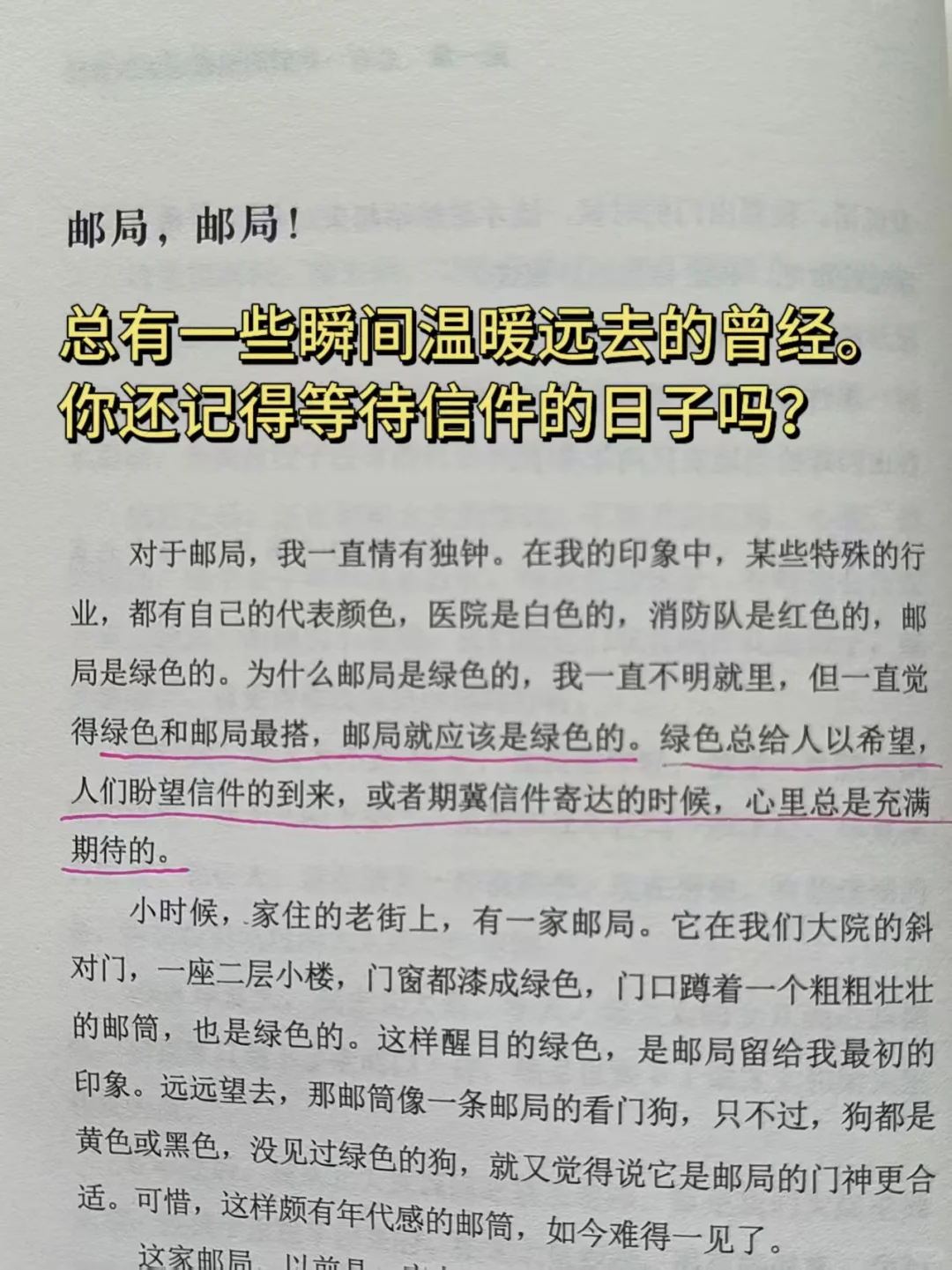 《正是橙黄橘绿时》｜温暖你的三餐和四季