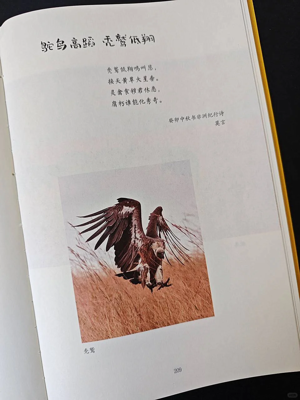 莫言新书｜每一种小确幸，都值得记录！