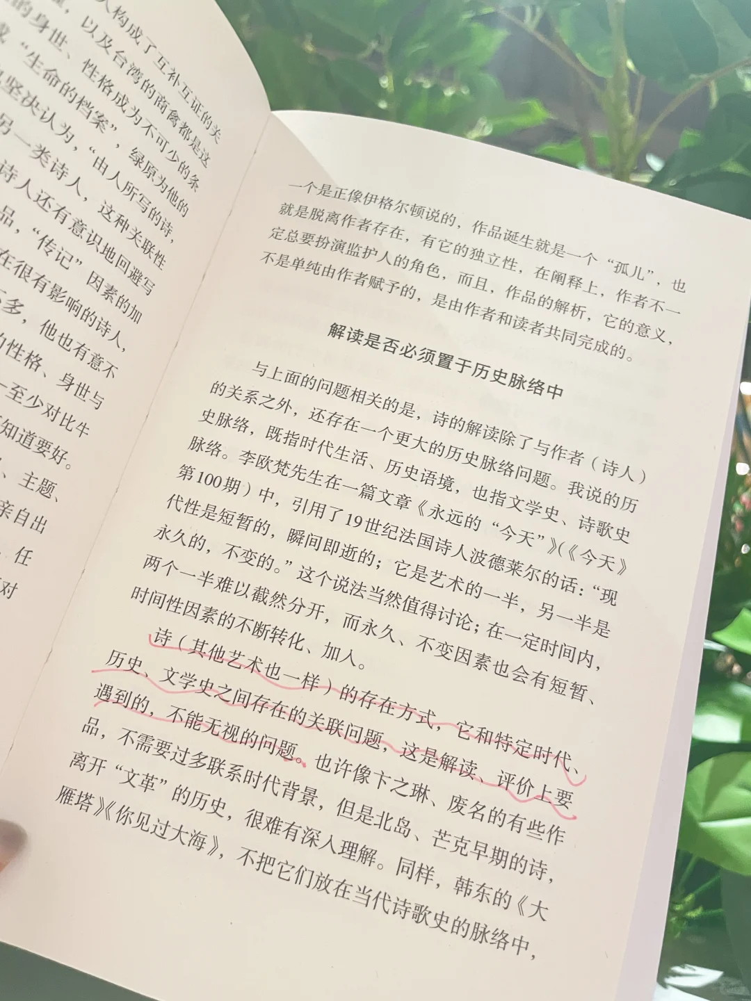 做喧嚣城市中阅读的＂慢读者＂｜文学的阅读