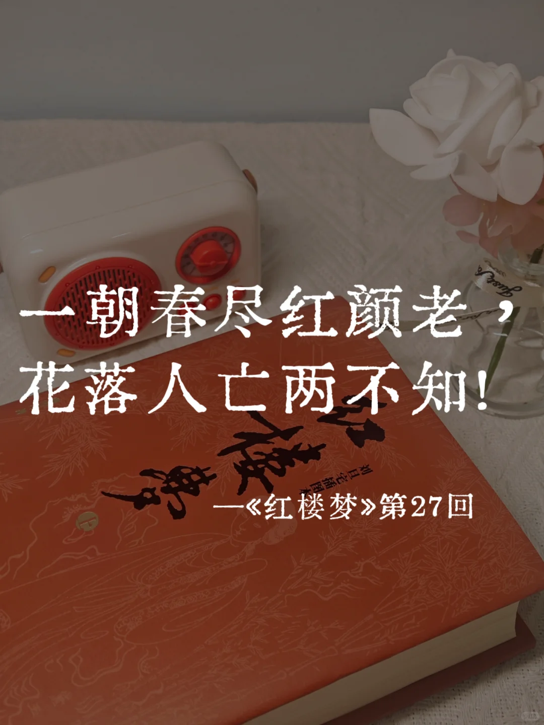 《红楼梦》里的封神名句，一句比一句经典