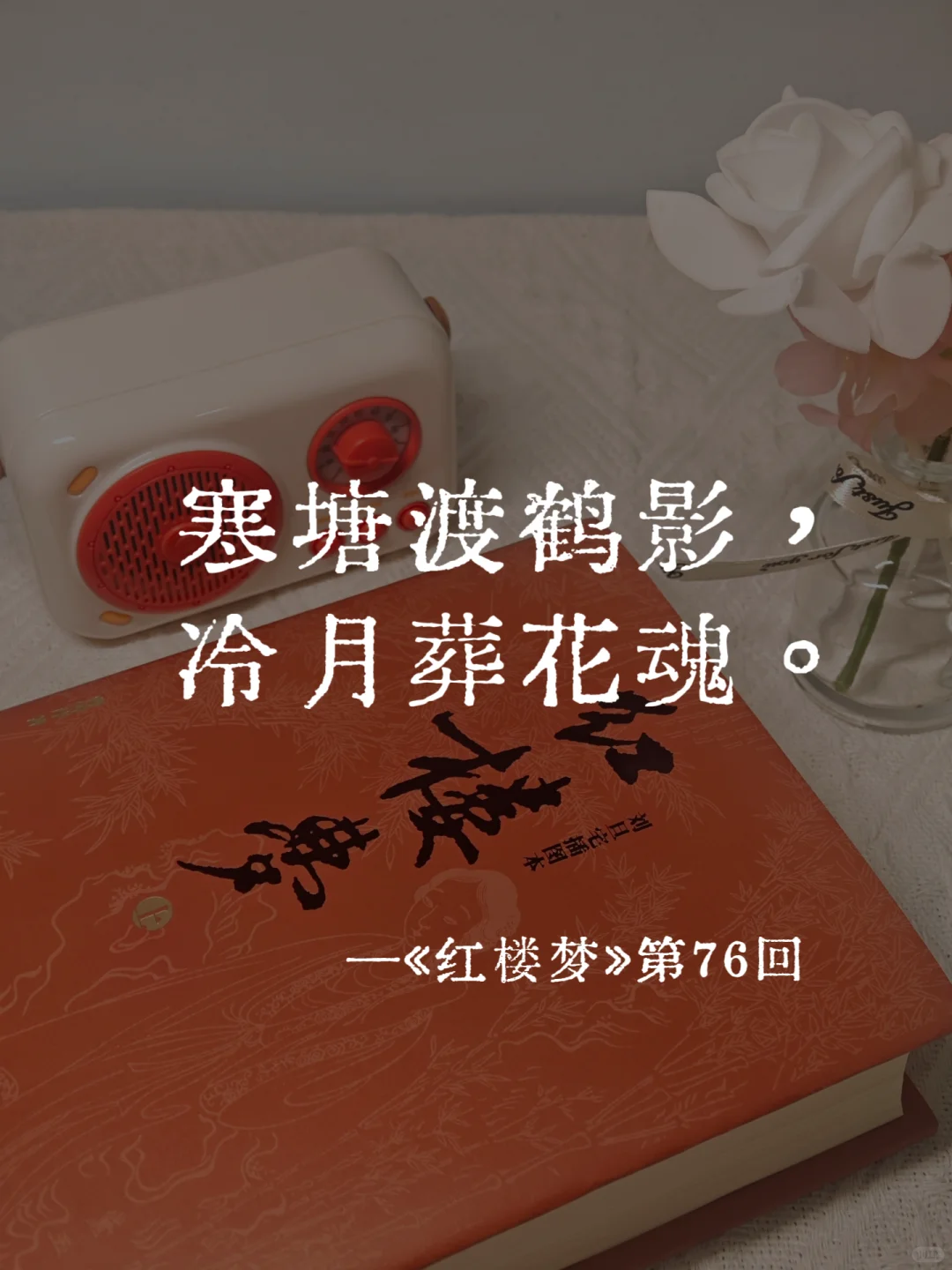 《红楼梦》里的封神名句，一句比一句经典