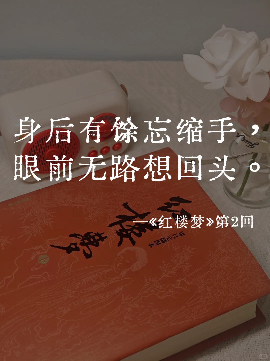 《红楼梦》里的封神名句，一句比一句经典