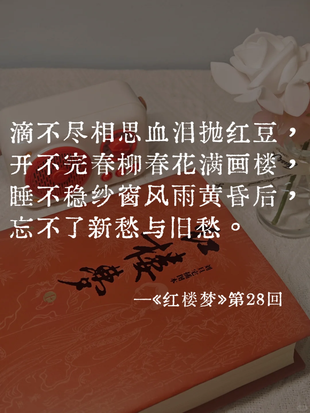《红楼梦》里的封神名句，一句比一句经典