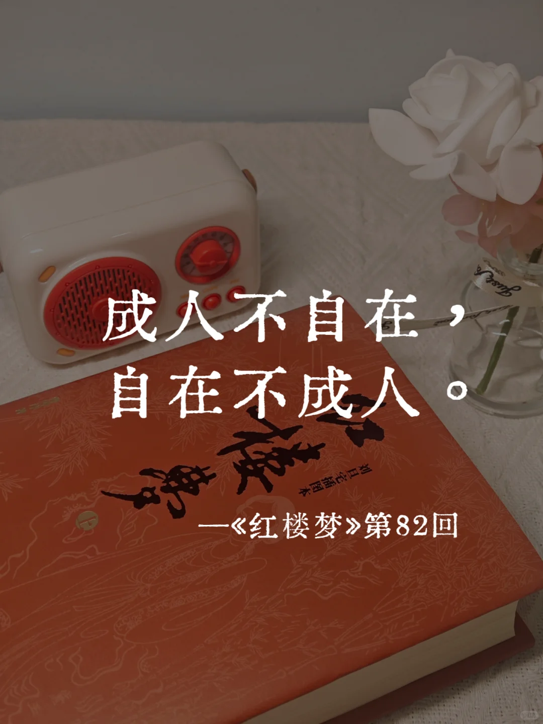 《红楼梦》里的封神名句，一句比一句经典