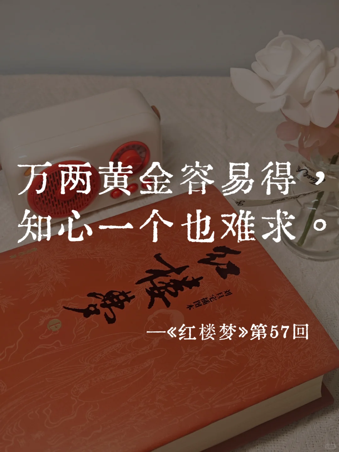 《红楼梦》里的封神名句，一句比一句经典