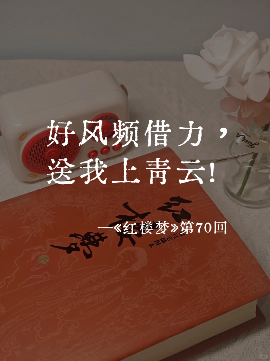 《红楼梦》里的封神名句，一句比一句经典