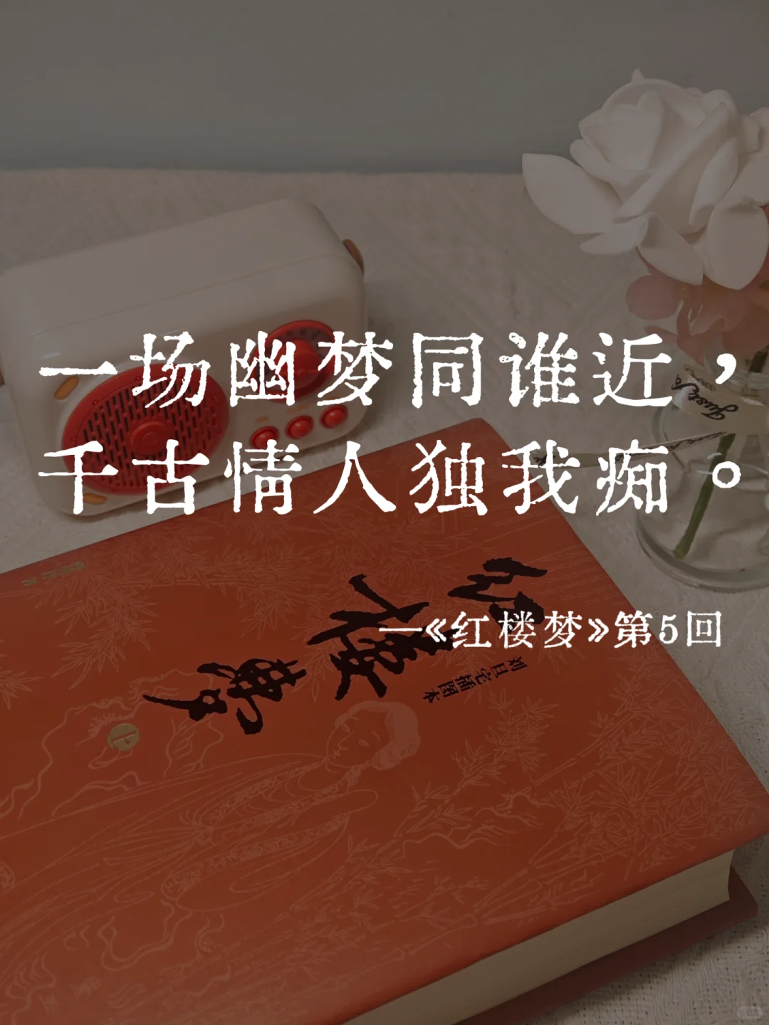 《红楼梦》里的封神名句，一句比一句经典