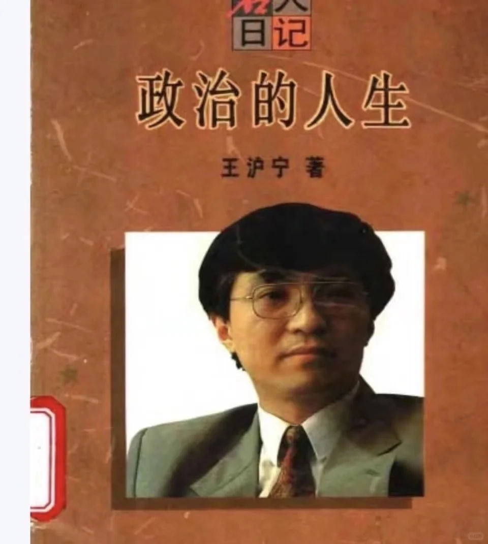王教授 政治的人生