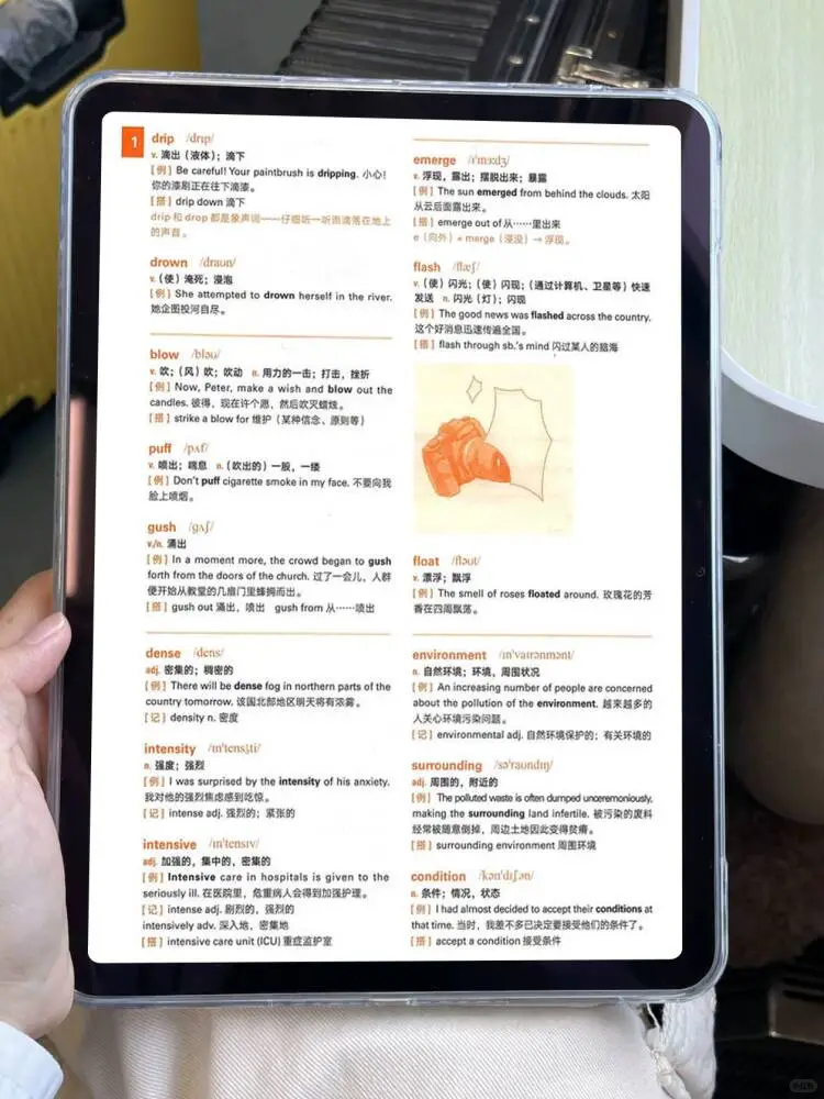 雅思词汇真经PDF电子版‼️让我词汇量破万