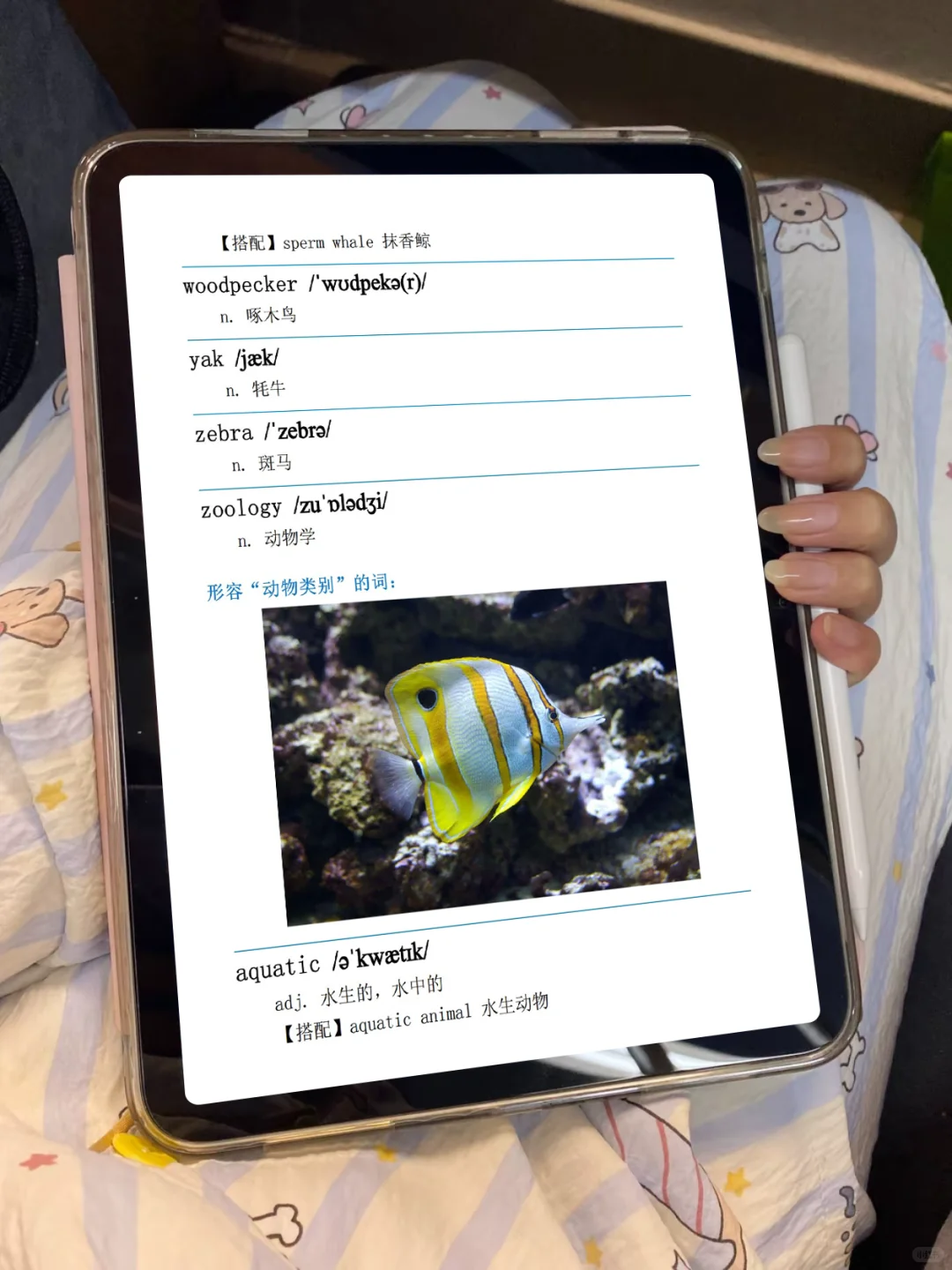 10天计划｜100个句子记完7000个雅思单词PDF