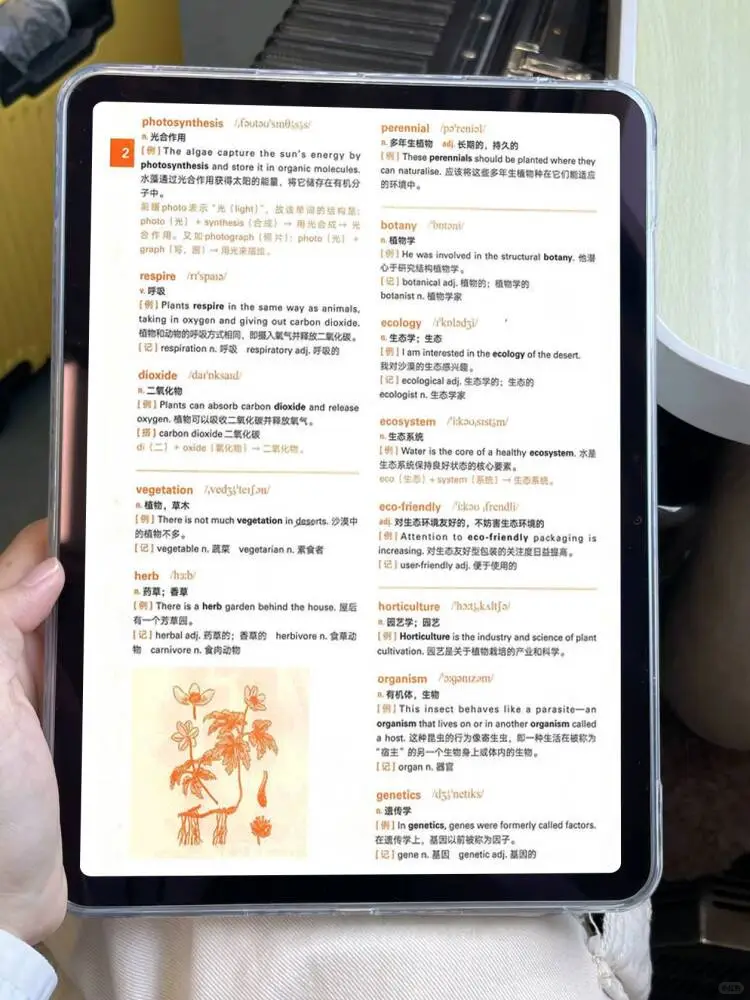 雅思词汇真经PDF电子版‼️让我词汇量破万