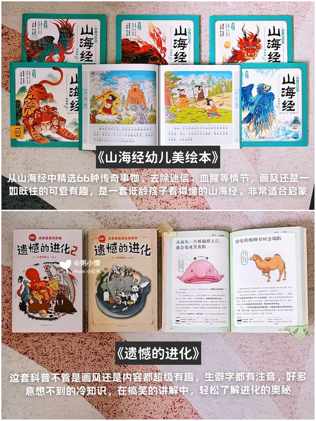 📚一年级书单｜阅读积累是学好语文的关键‼️