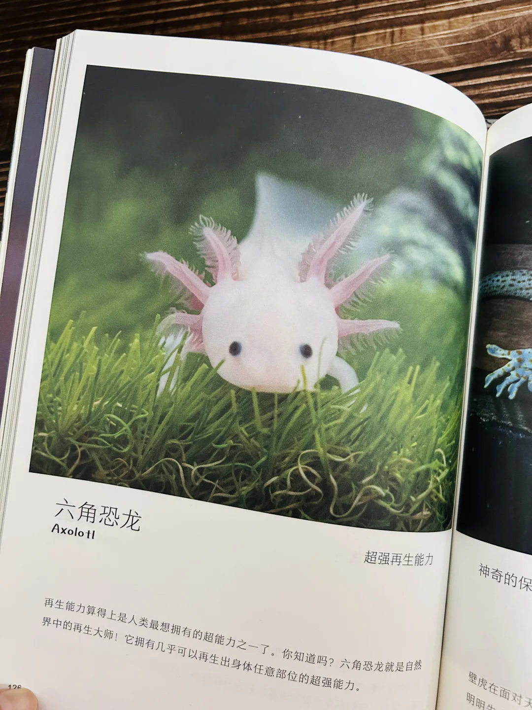 谢谢你‼️让2岁儿子认识了近200动植物！