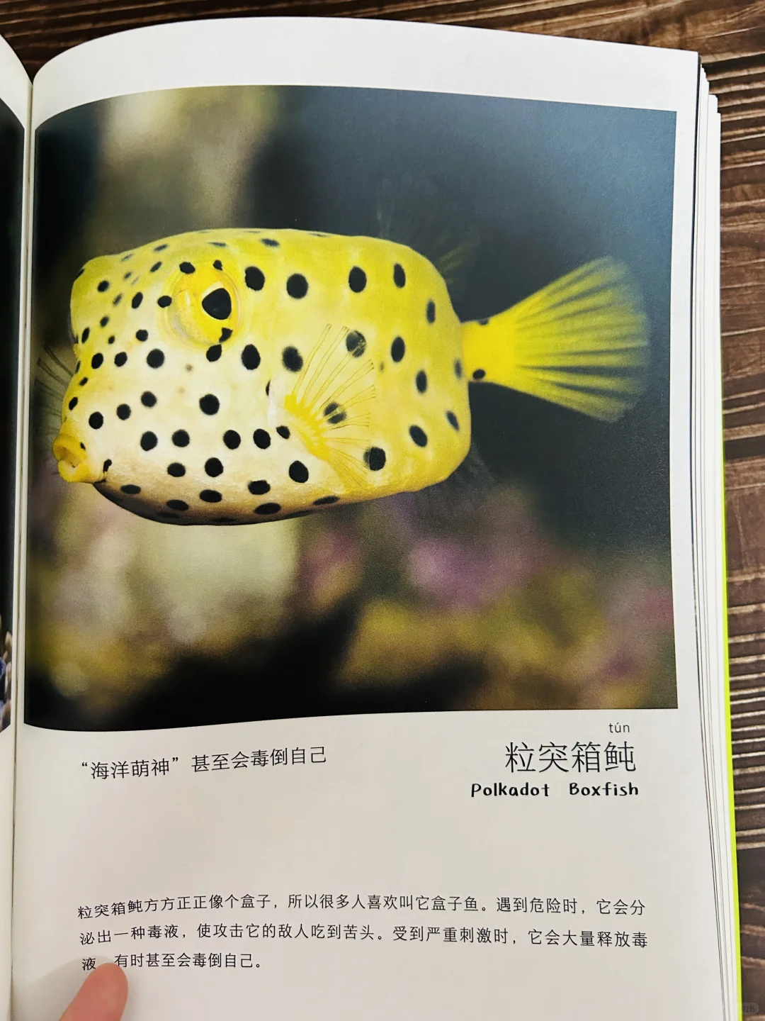 谢谢你‼️让2岁儿子认识了近200动植物！