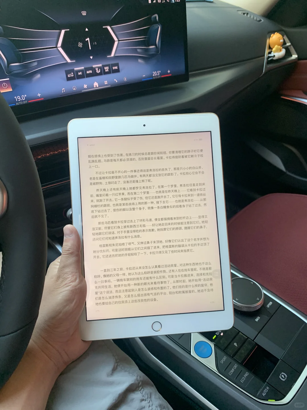 ✨iPad党狂喜！用它看书真的会上瘾！
