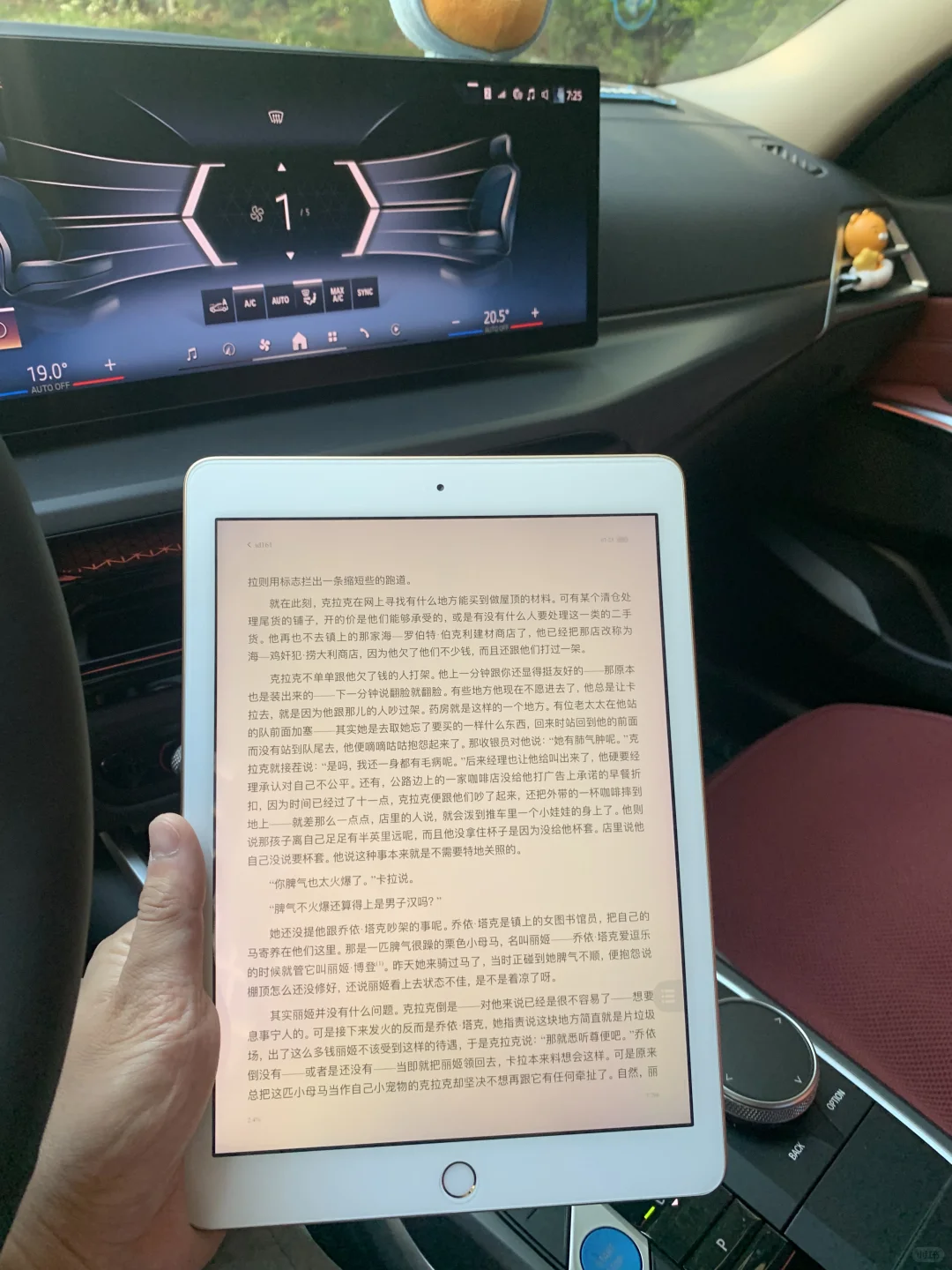✨iPad党狂喜！用它看书真的会上瘾！