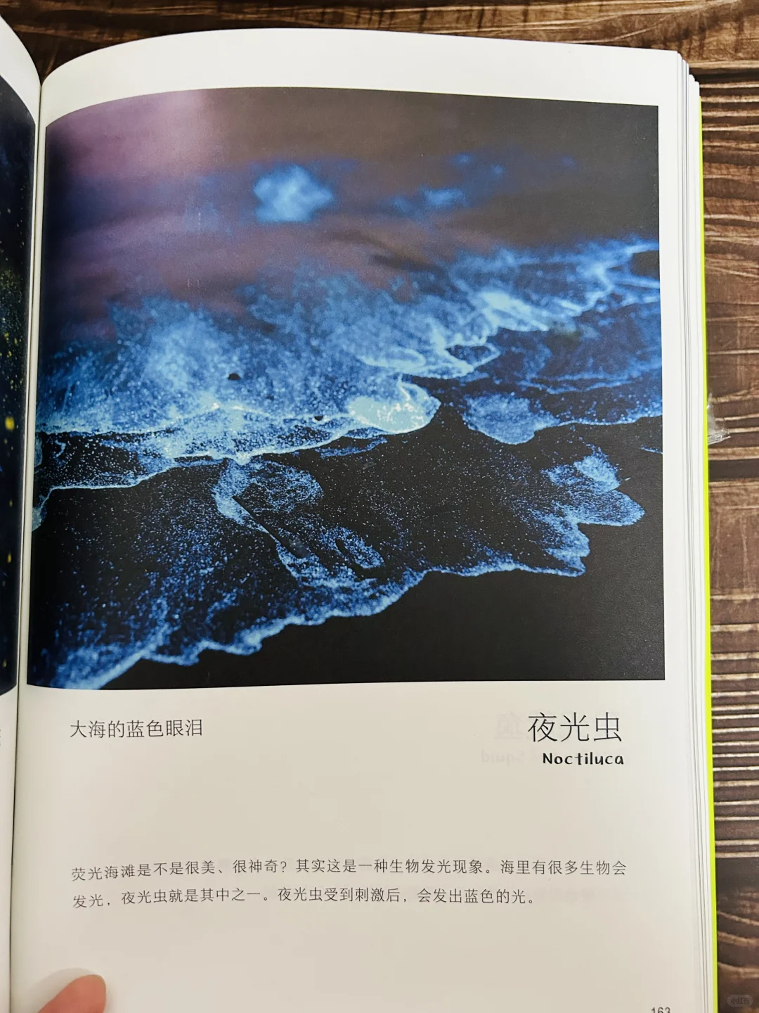 谢谢你‼️让2岁儿子认识了近200动植物！