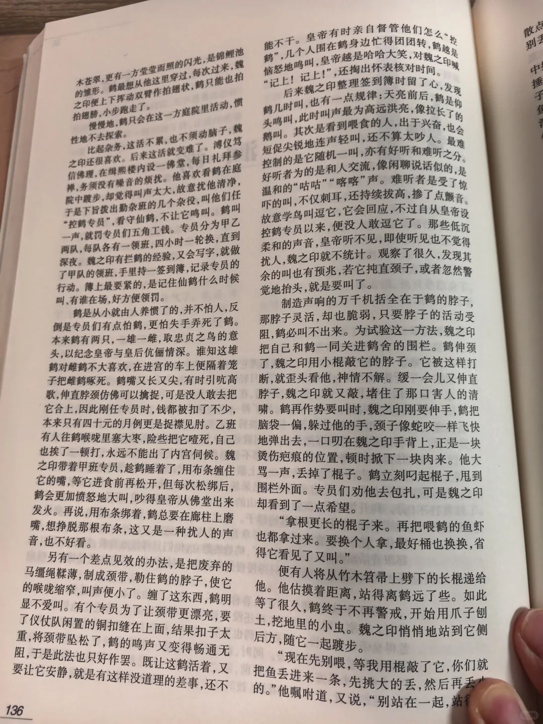 《收获》25年4期，一枝独秀的作品