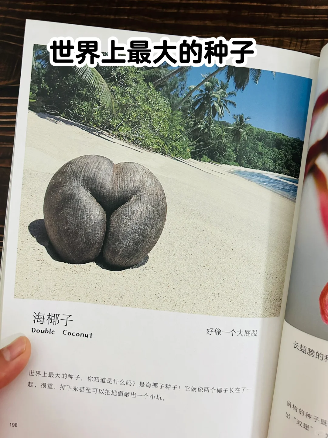 谢谢你‼️让2岁儿子认识了近200动植物！