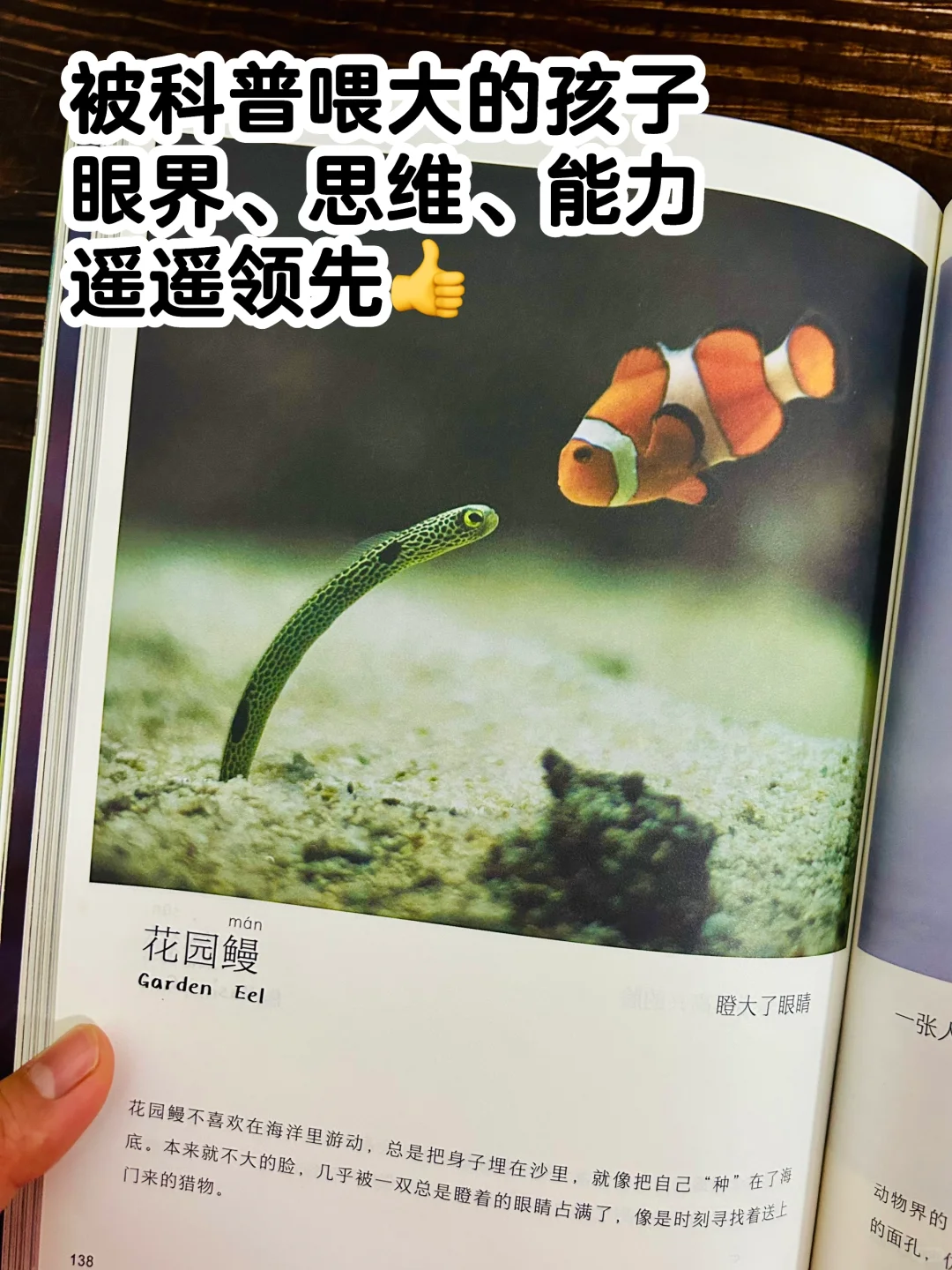 谢谢你‼️让2岁儿子认识了近200动植物！