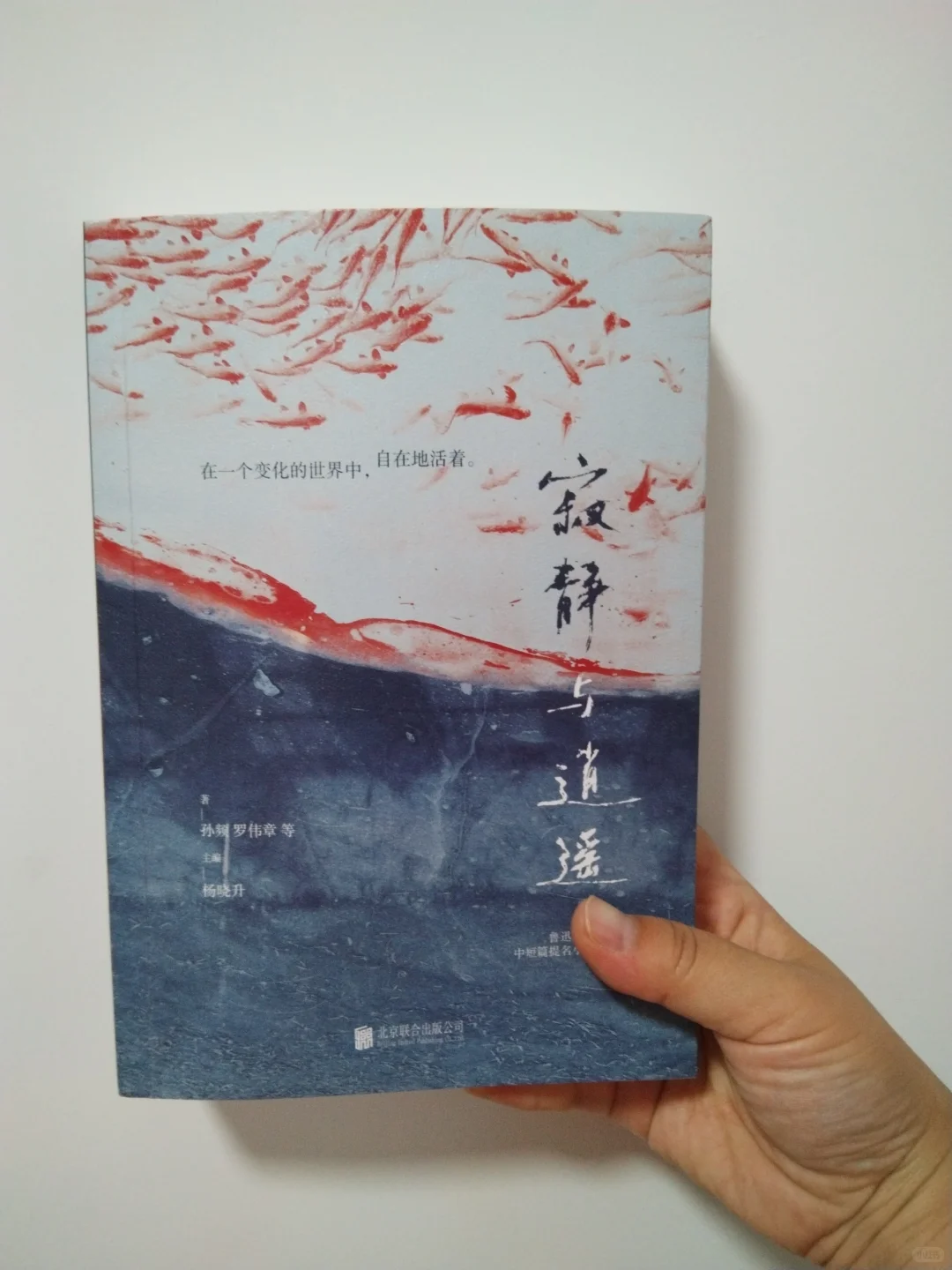 失落与坚持——我读完未入选鲁迅文学奖的小