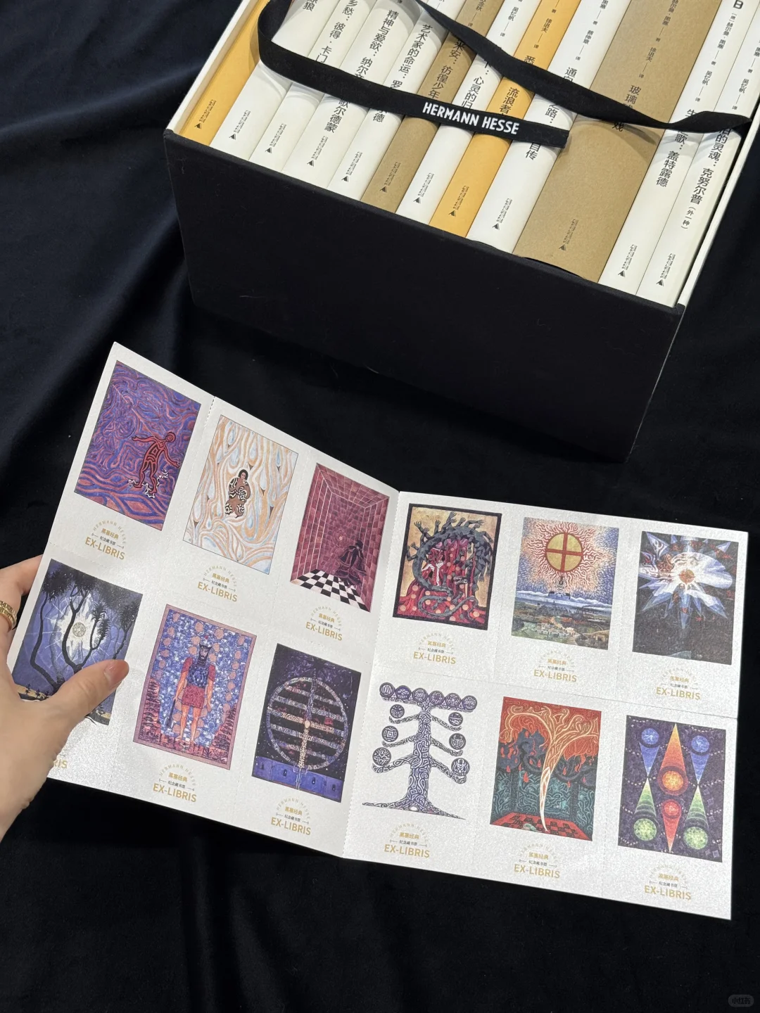 黑塞经典初版复刻🟤德式风格的高级质感