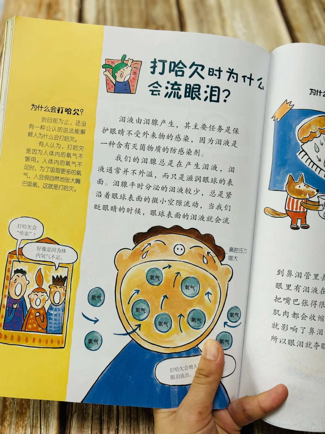 谢谢你‼️让我四岁儿子彻底爱上阅读 ♥️