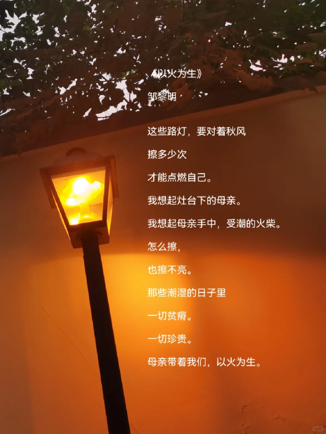 获奖诗歌|奖金2000元|你觉得写的怎么样？