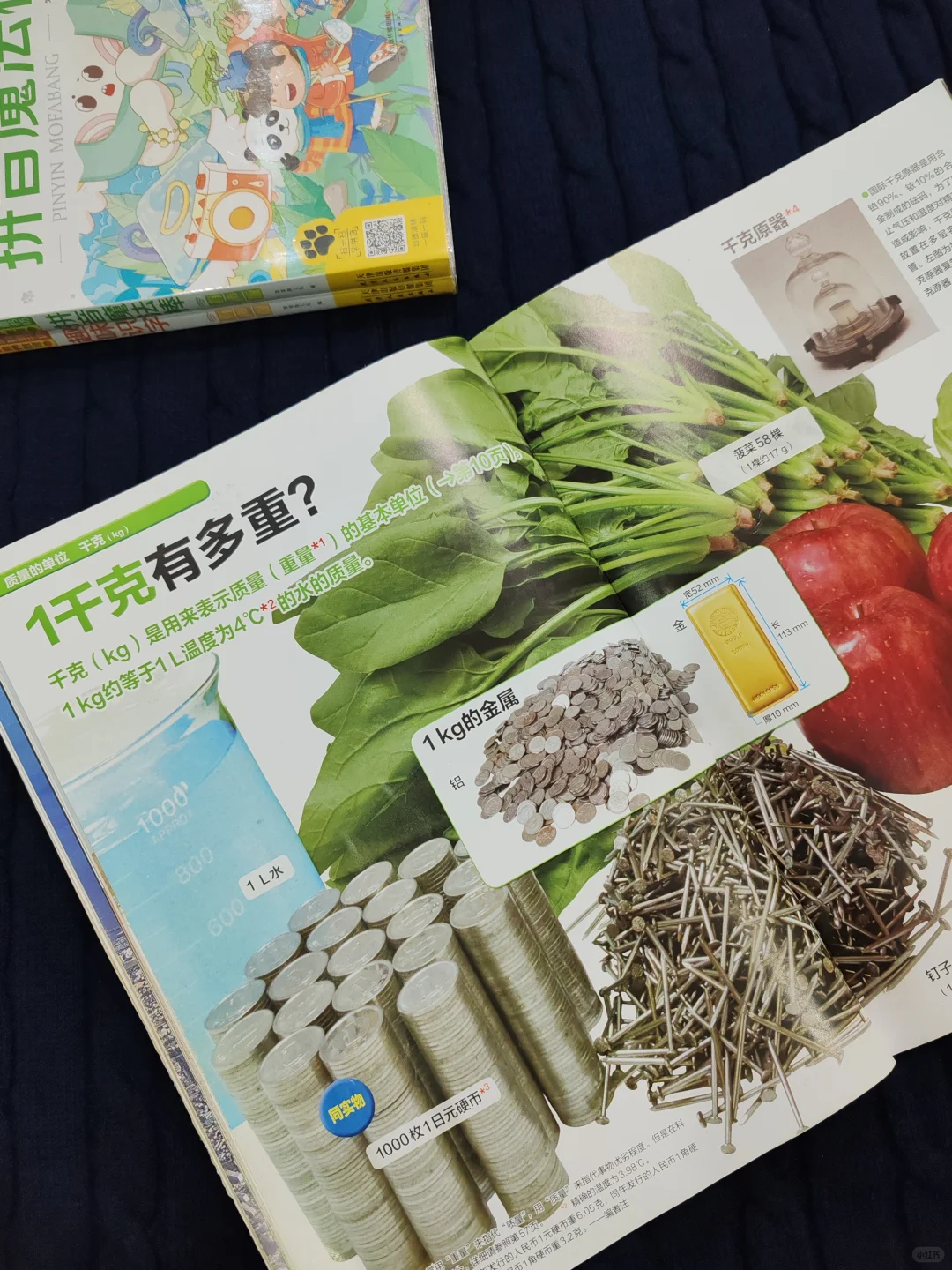 我宣布！这是我小学女儿数理化启蒙的神😭