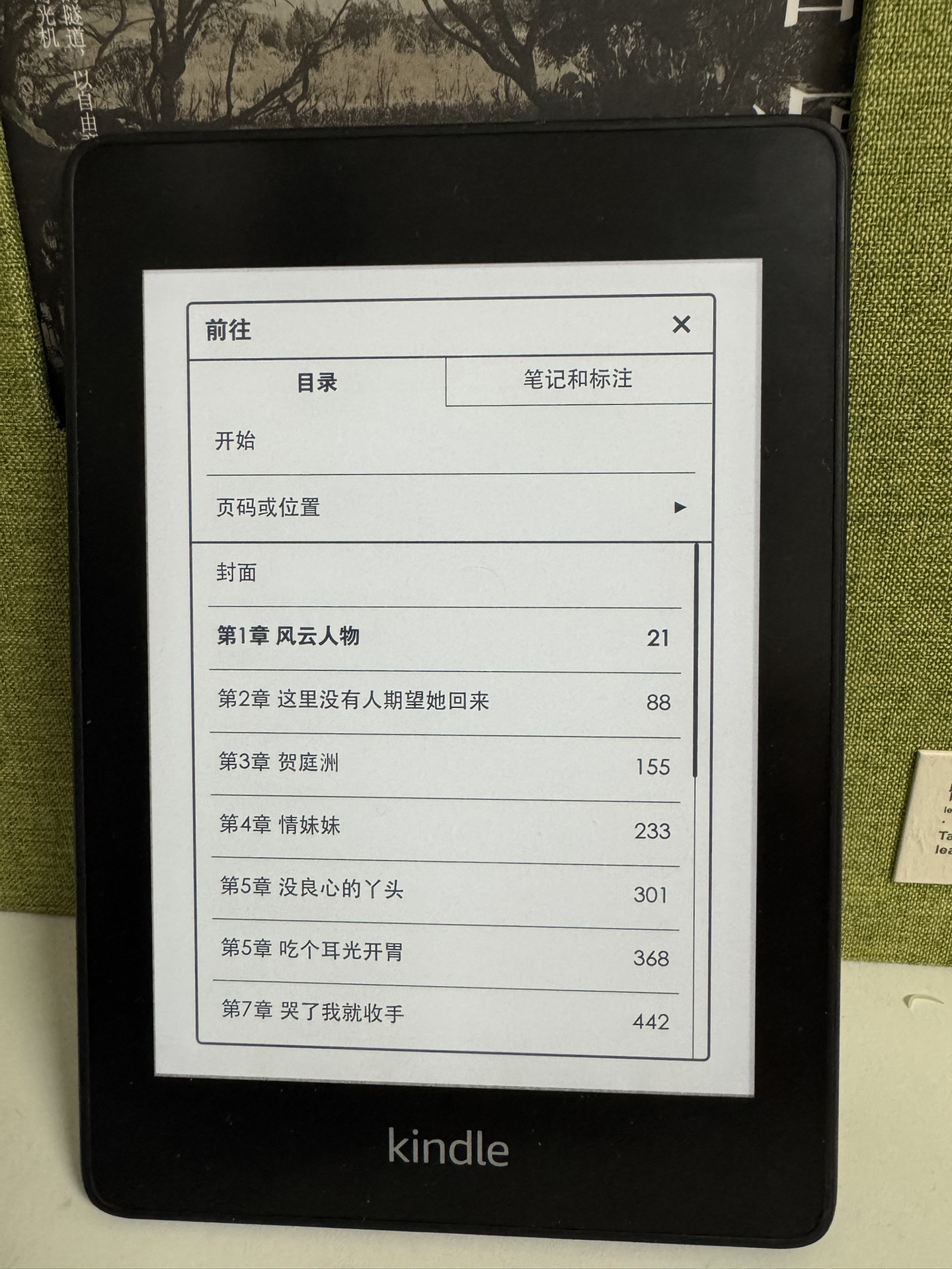 一键优化！ kindle 看网文小说的新姿势