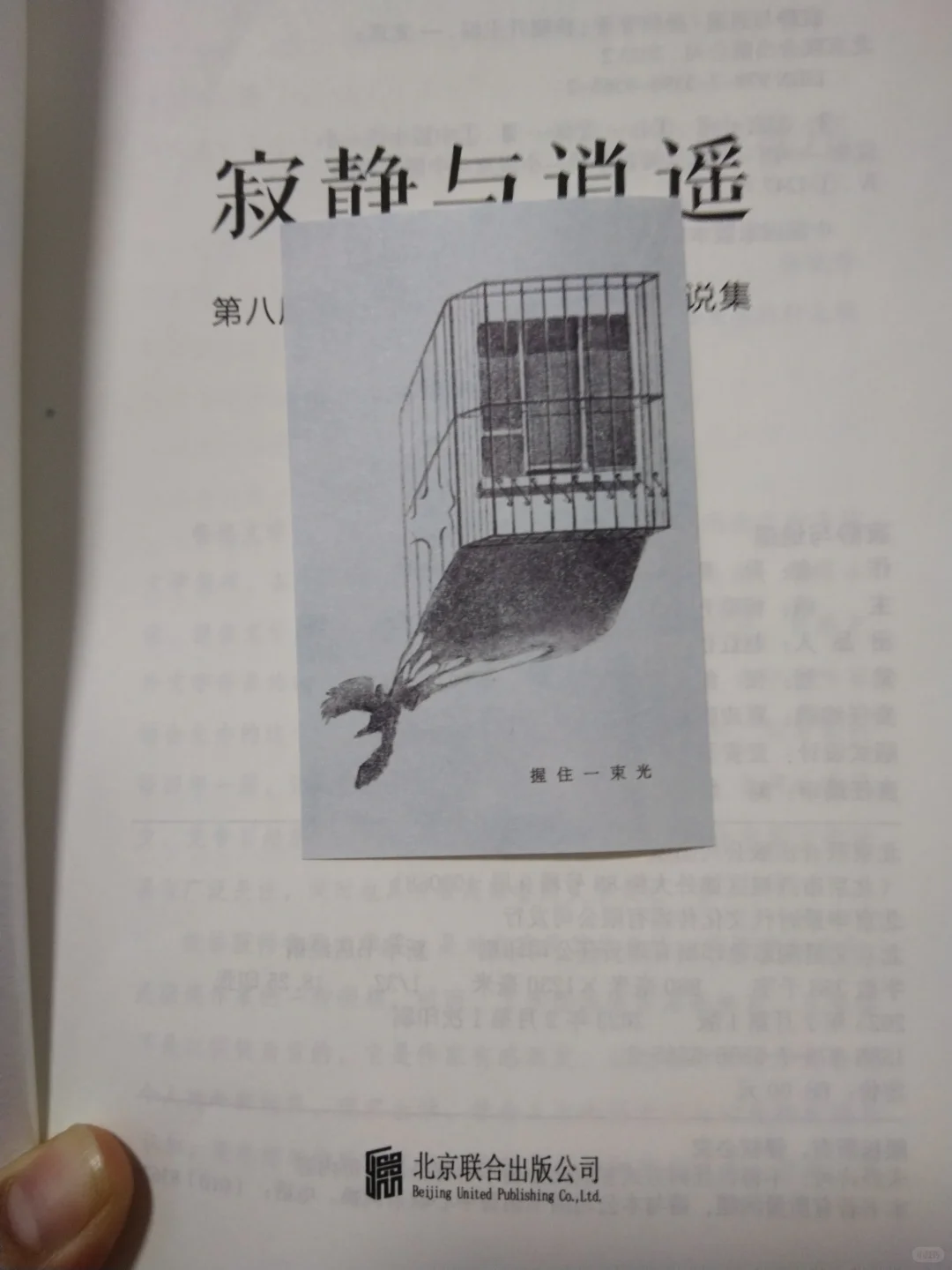 失落与坚持——我读完未入选鲁迅文学奖的小