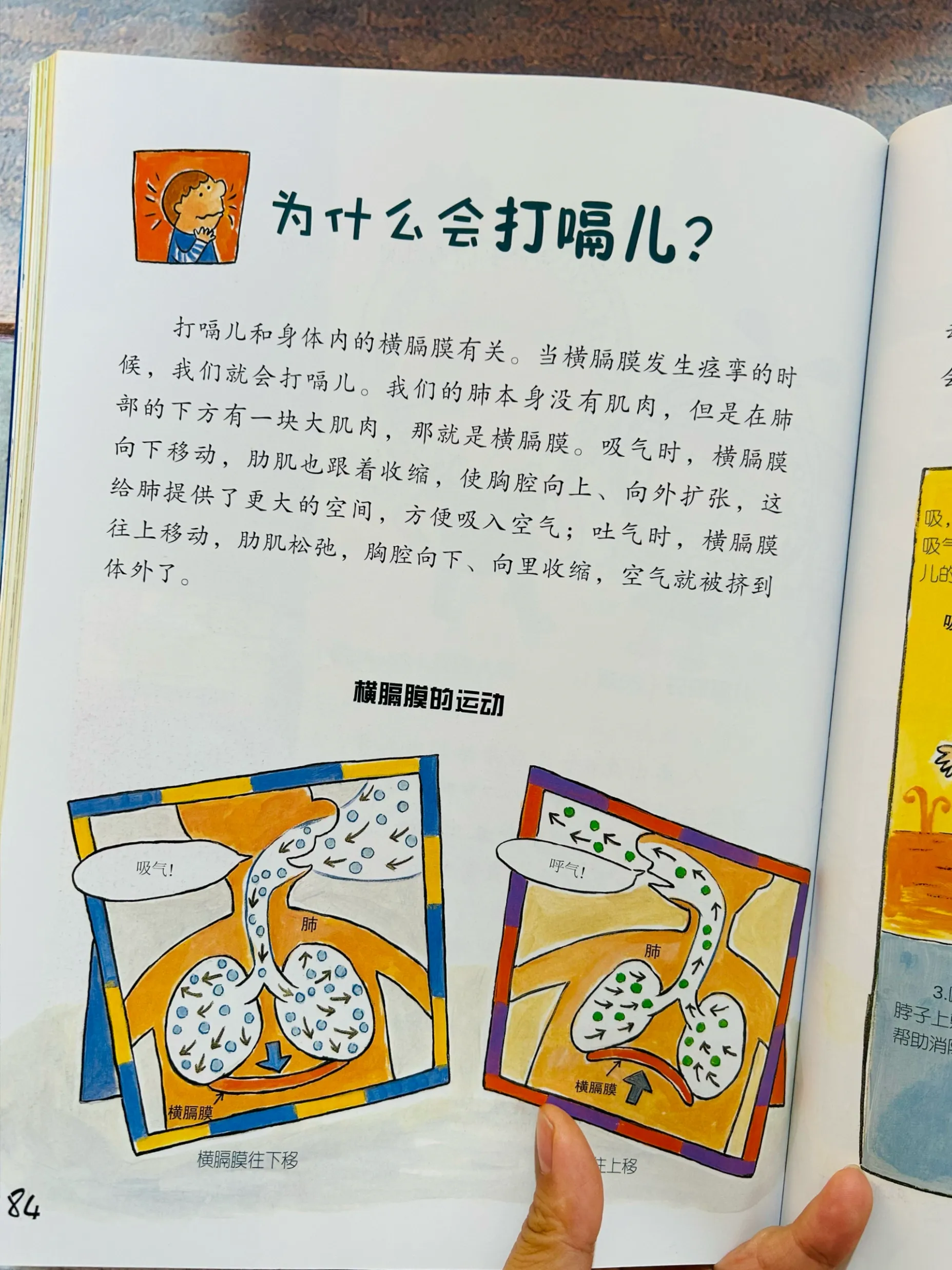谢谢你‼️让我四岁儿子彻底爱上阅读 ♥️