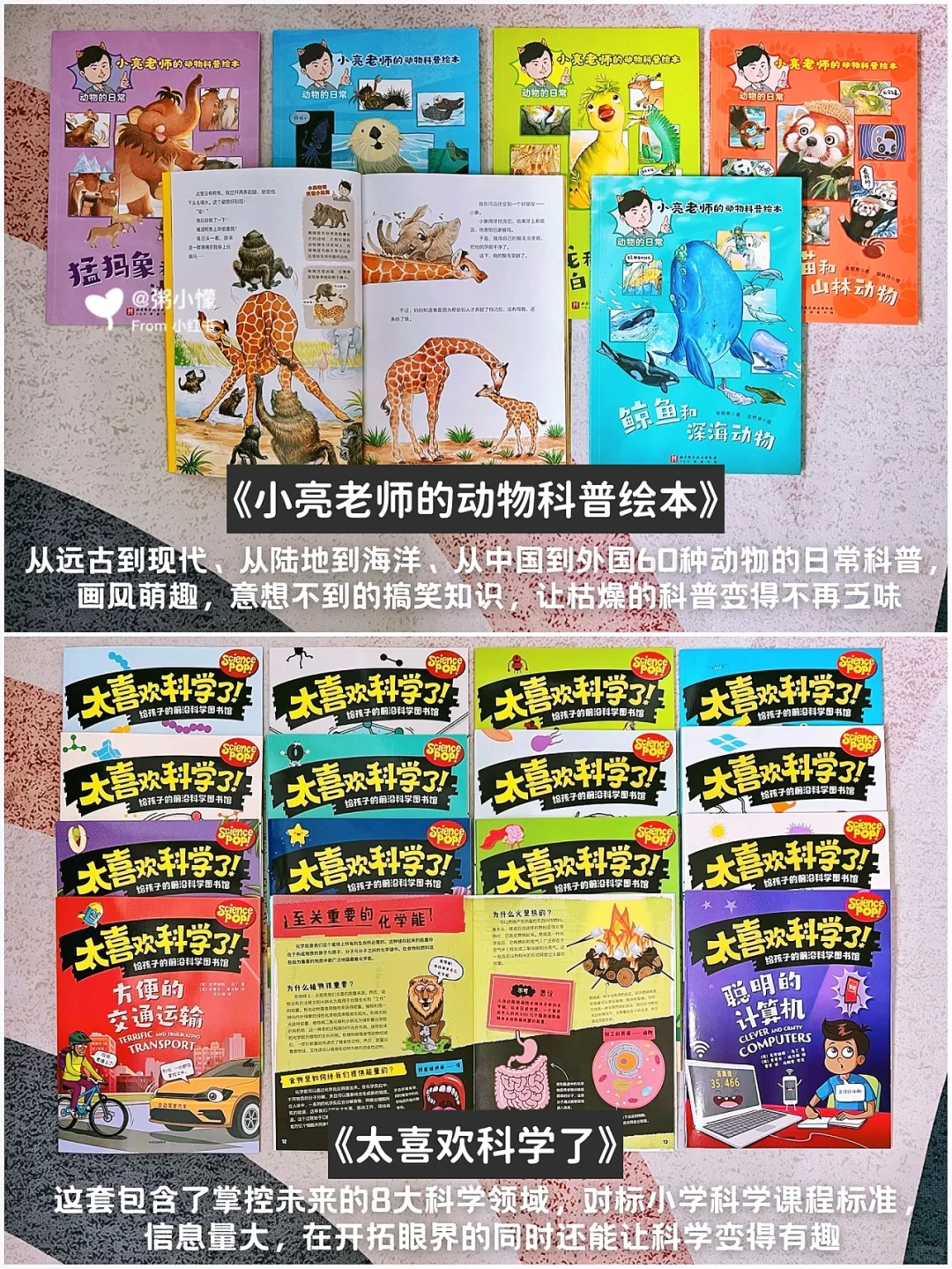 📚一年级书单｜阅读积累是学好语文的关键‼️