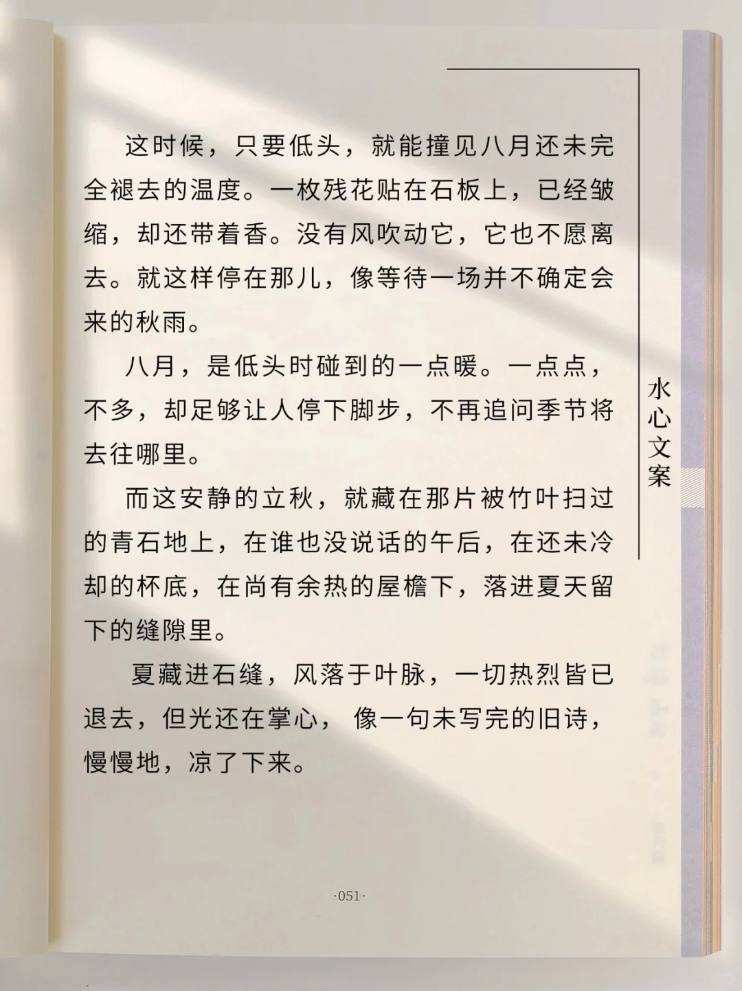 原创散文‖八月，是低头未凉的夏