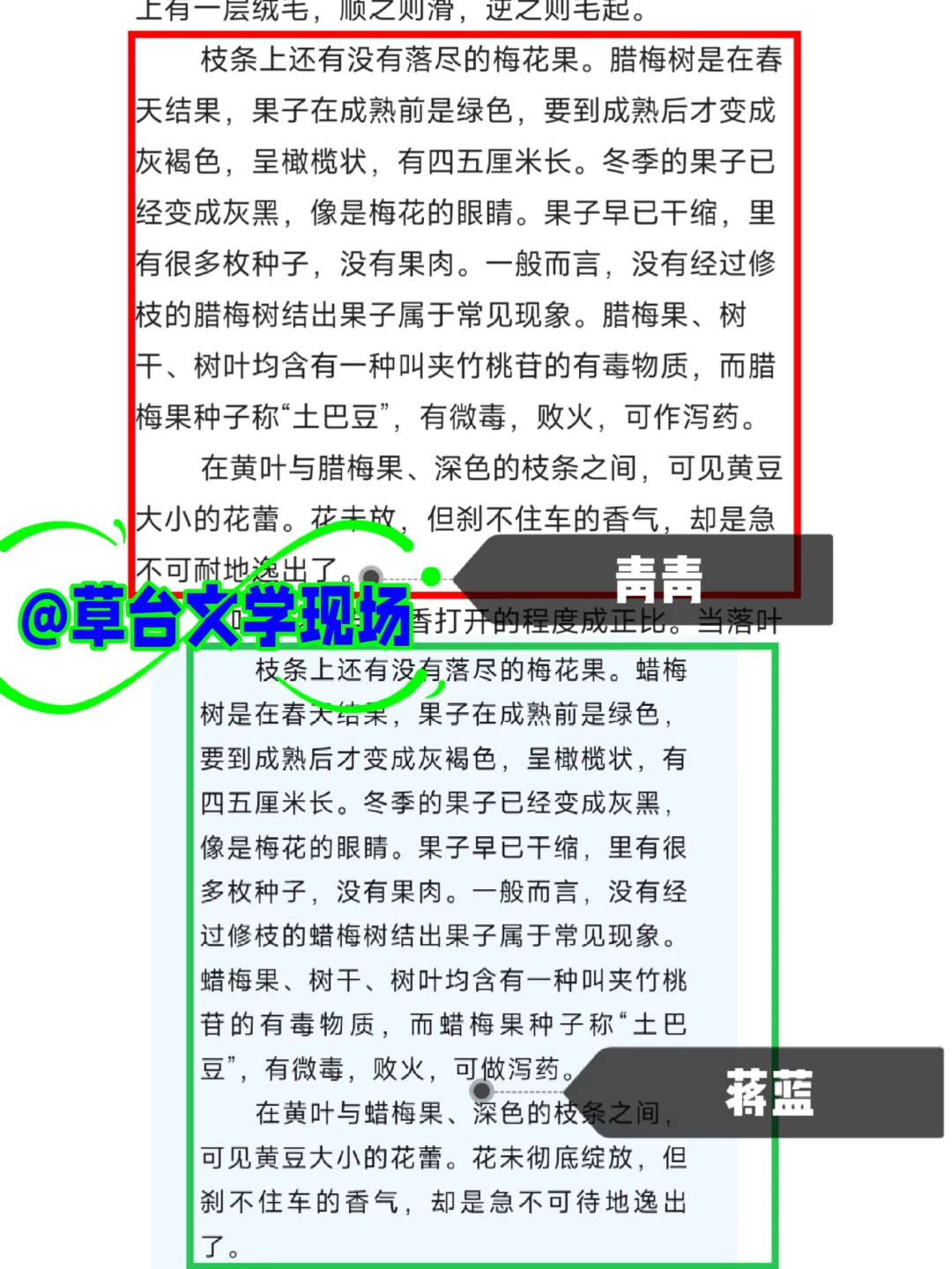 蒋蓝与青青的异曲同工之妙及其“一鱼两吃”