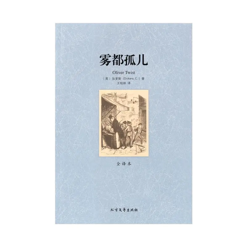 《雾都孤儿》全译本，经典文学的魅力🌟
