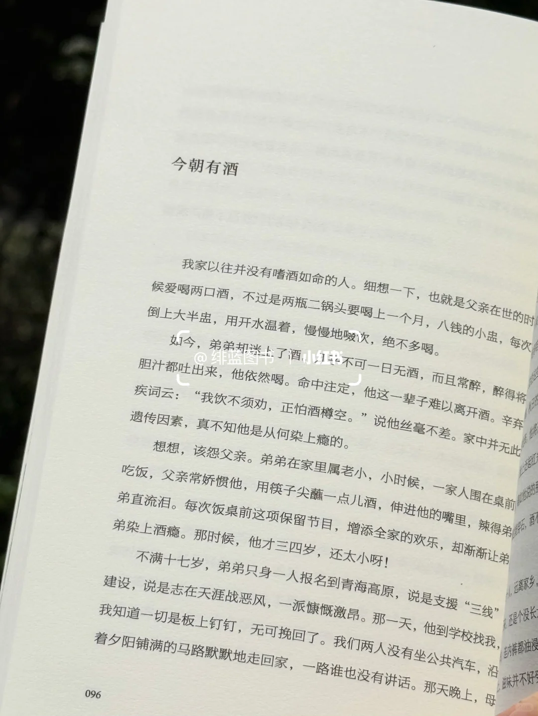好喜欢这个封面啊，一整个被治愈了……
