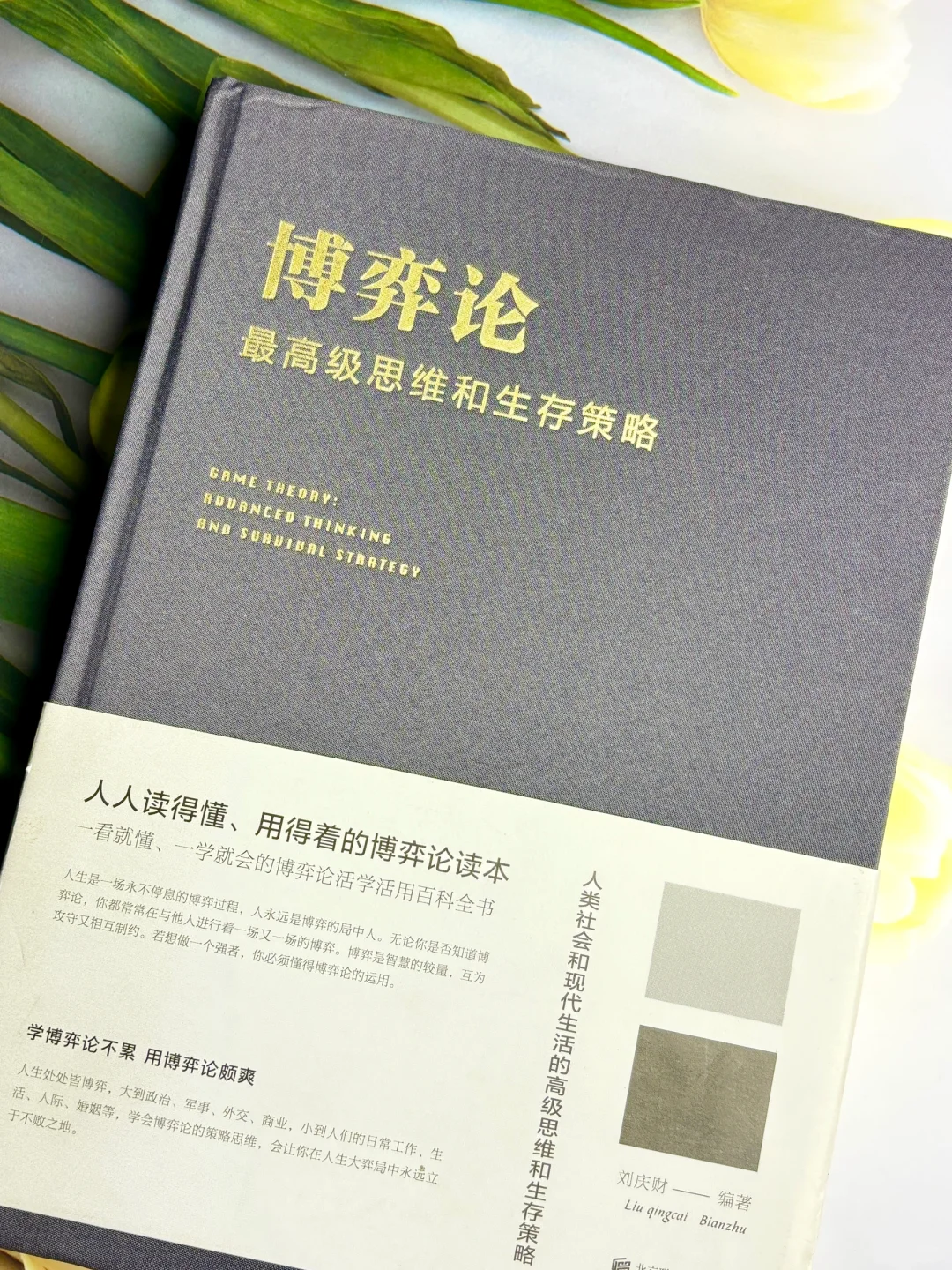 读完这本博弈论，感觉智商直接起飞了💥