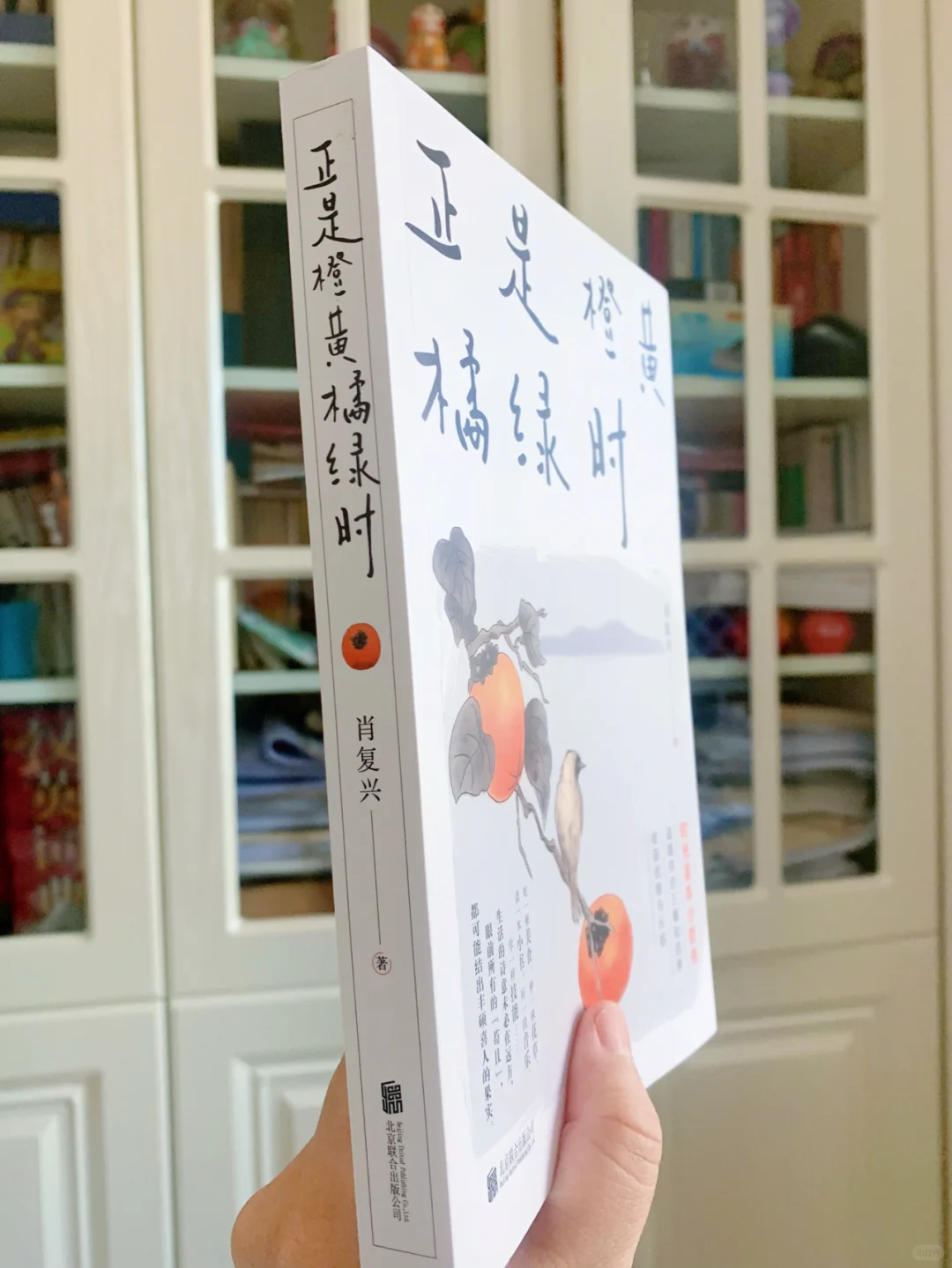 快乐时读书，烦闷时读书，被这本书一整个治愈