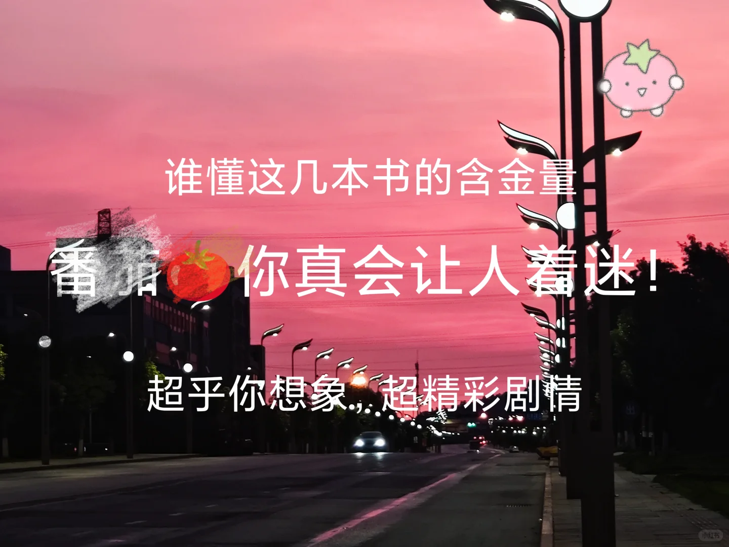 深夜必备，这书真好看！🔥🔥🔥