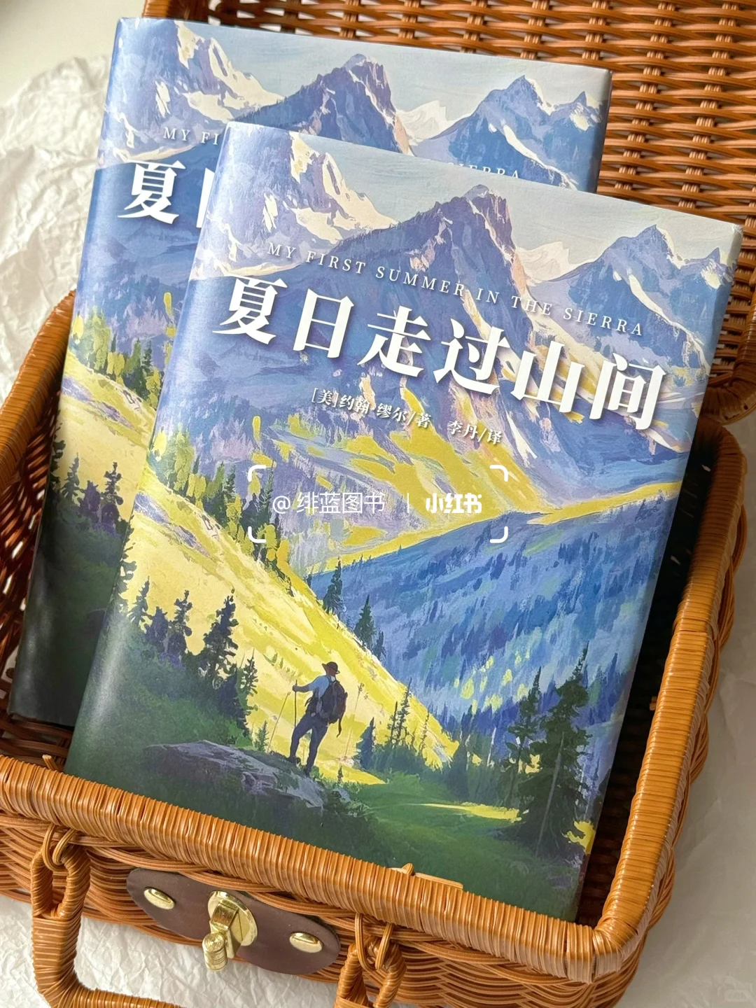 这本书真的好适合送给需要放松的自己！