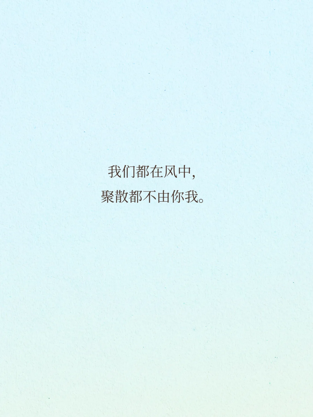 宿命感拉满的顶级文笔