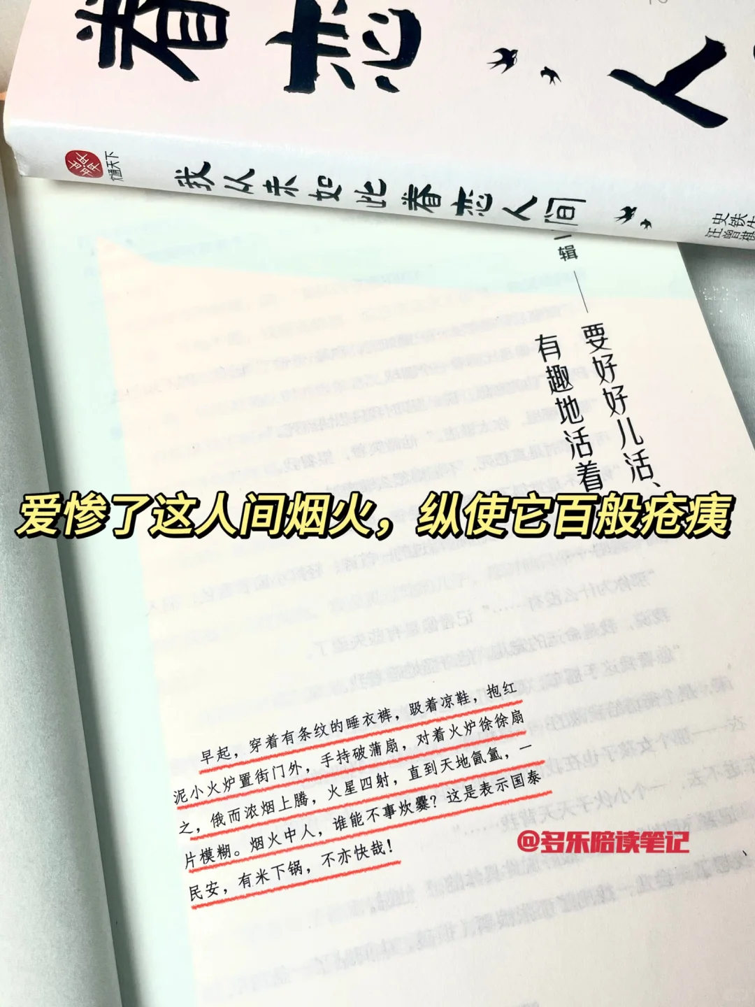 简直治愈到爆！！读完狠狠停止精神内耗和焦虑