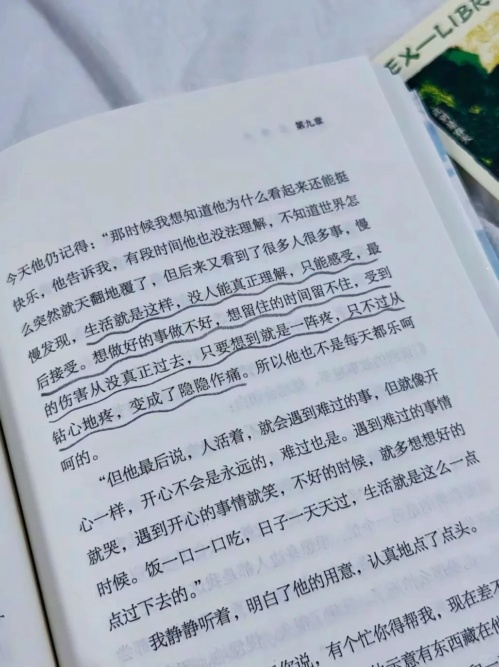 📖《此刻是春天》：温暖心灵的治愈之笔