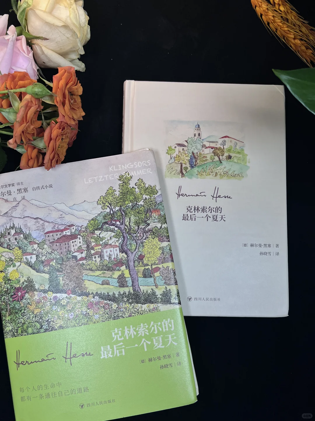 19块！能拿下诺奖得主的精装书还是刷边版⁉️