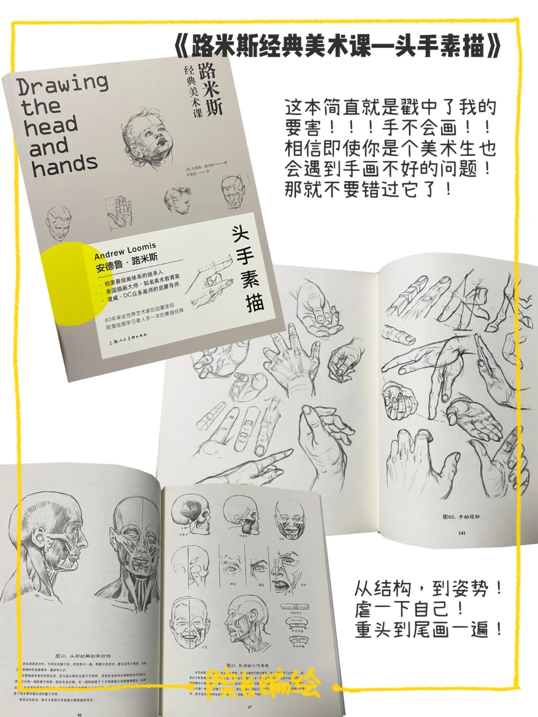 【原创插画教程】新人必看！美术类干货书推荐！