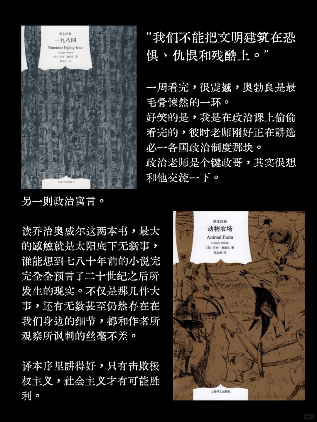 高中生一年看了40本书😐