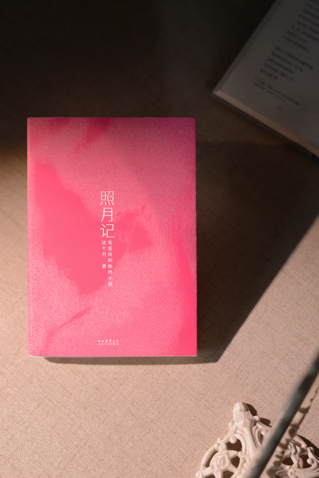 超爱的博主“这个月”新书❗——《照月记》